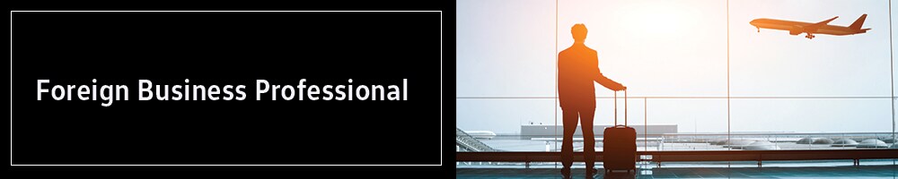 Foreign Business Professional Program