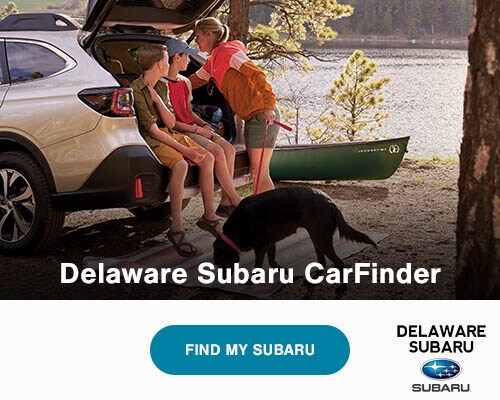 24-car-finder
