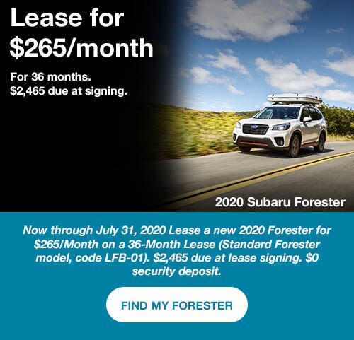 11-2020-forester-lease-edit.jpg
