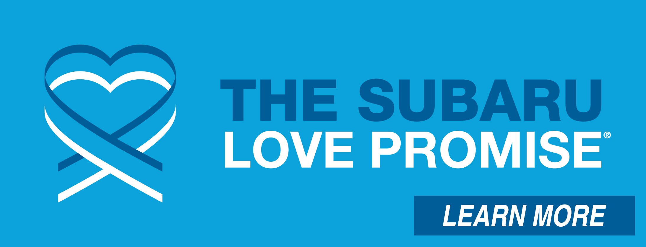 Subaru_Love_Promise_Horizontal_3C.jpg