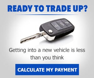 Blue Payment site 300x250 (002).jpg