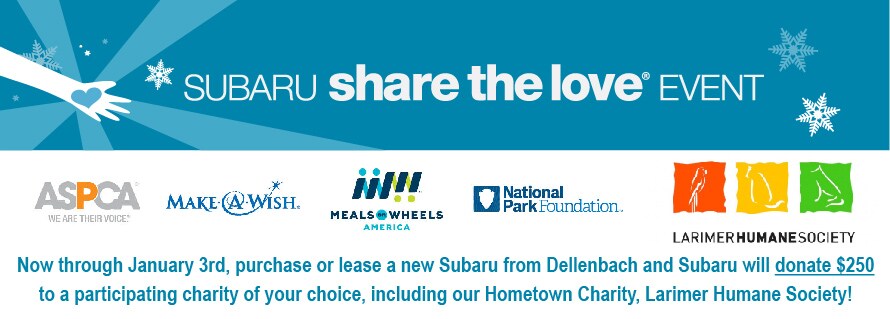 Subaru_STL_2016_online_Banners_SM_Website_Header.jpg