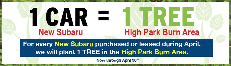 Subaru_Loves_The_Earth_Tree_Planting_HEADER.jpg