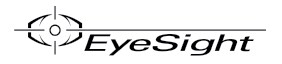 small Subaru page Buttons_EYESIGHT BUTTON.png