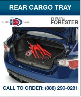 BRZ_REAR CARGO TRAY.png
