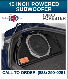 BRZ_10 INCH POWERED SUBWOOFER.png