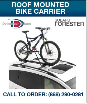 Untitled-1_ROOF MOUNTED BIKE CARRIER.png