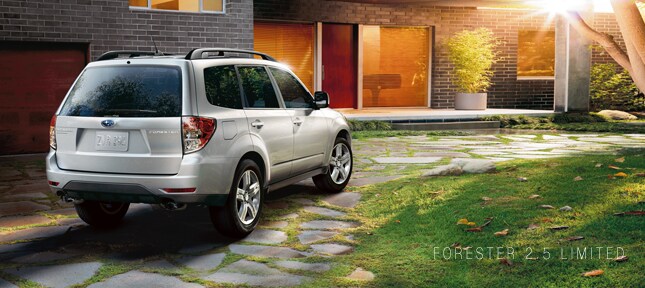 2010_Forester_Flagstone_Split.jpg