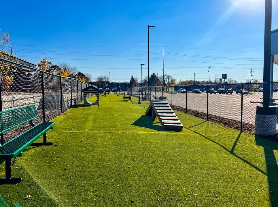 Fox Subaru Dog Park.jpg
