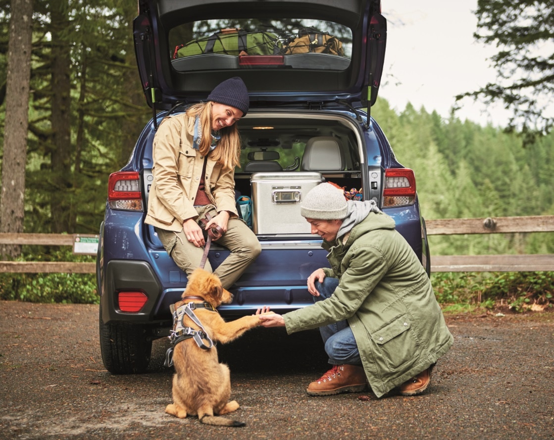 2021 Subaru Crosstrek Trunk