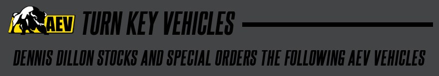 AEV-HEADER1.JPG