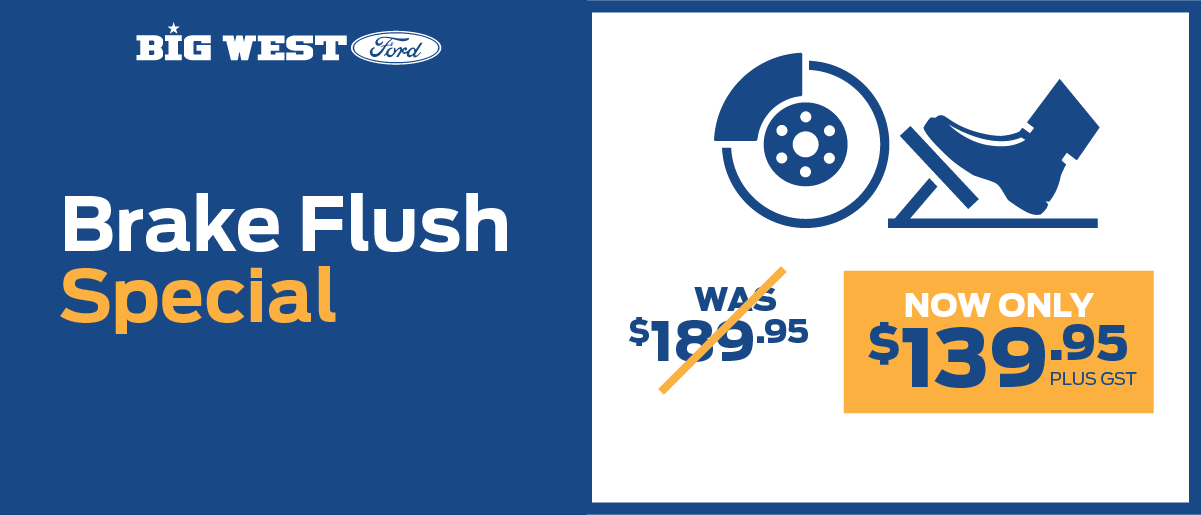 Brake FLushSERVICE SPECIALS.png