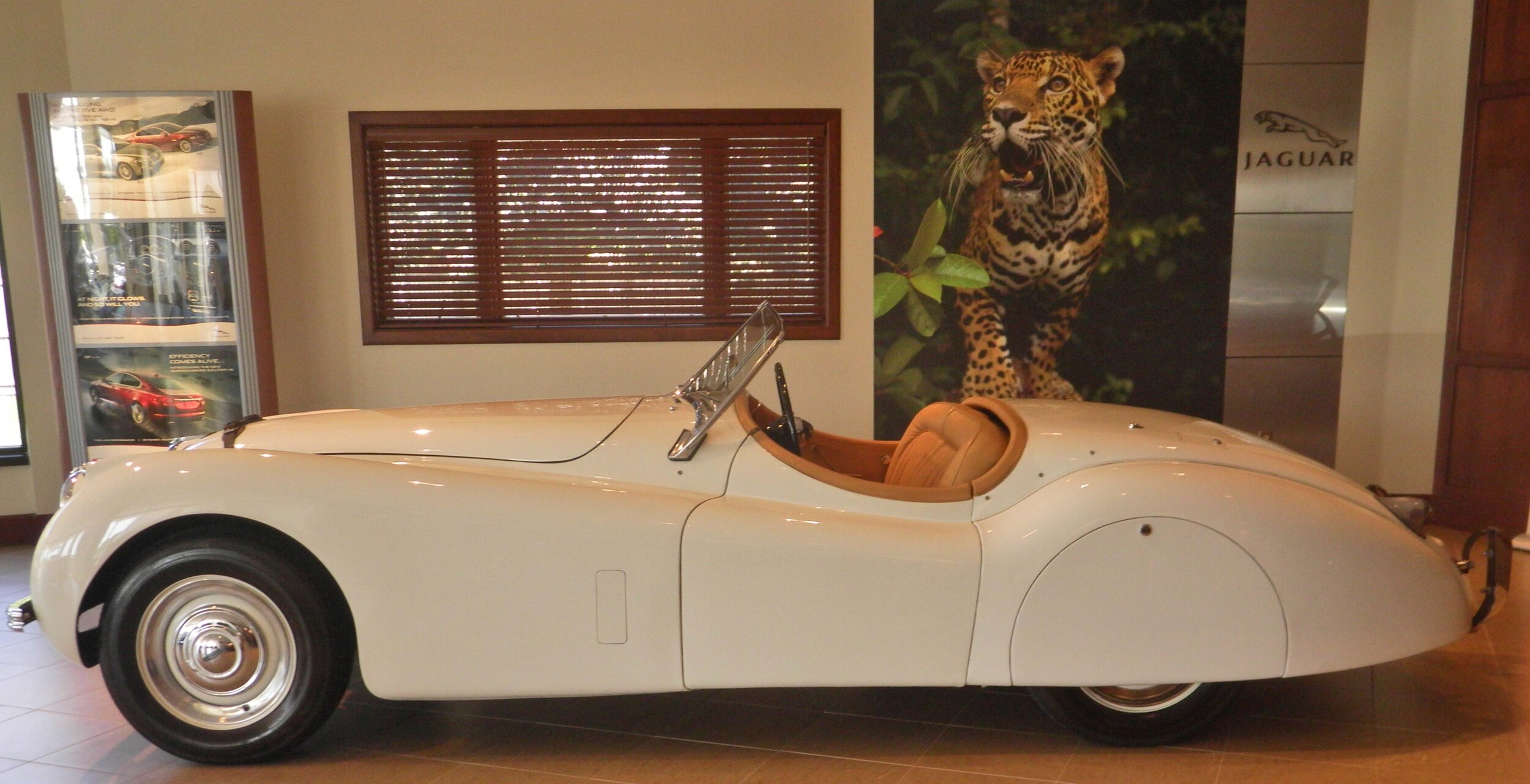 1953 Jag3.JPG