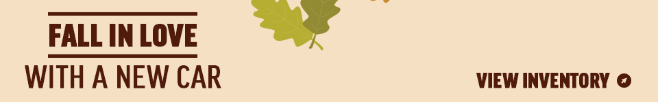 Fall-Skinny-GIF.gif