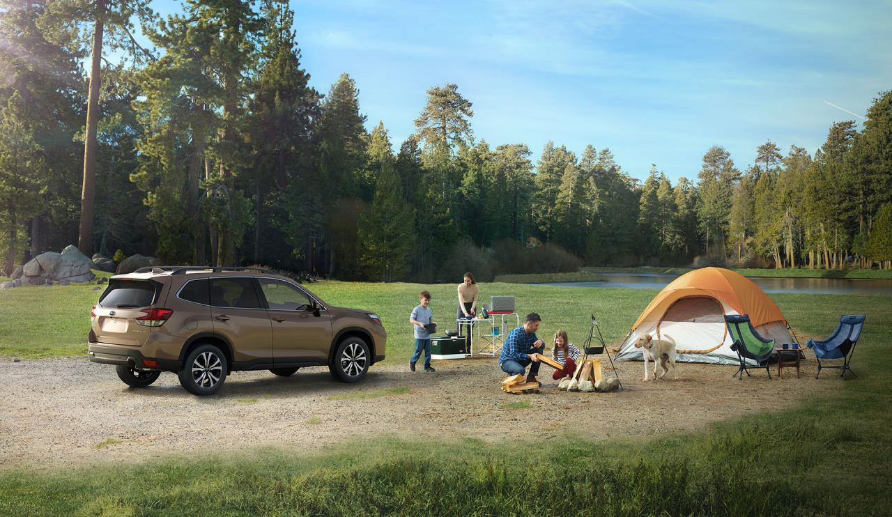 La Subaru Forester 2021 - Desjardins Subaru La Subaru Forester 2021 - Desjardins Subaru