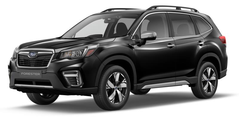 forester.jpg
