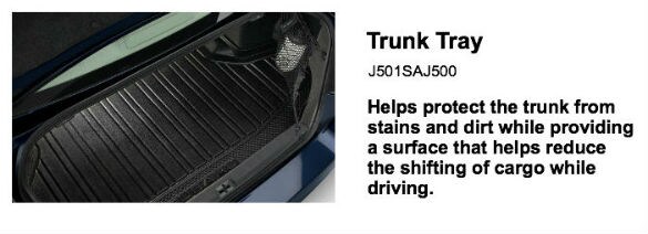 legacy trunk tray.jpg