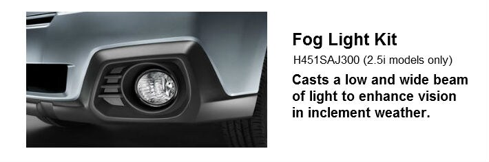 outback fog light.jpg
