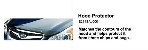 legacy hood protector 585.jpg