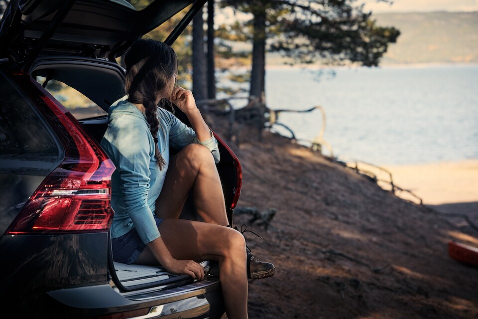 2019-Volvo-XC60-Inscription-T8-SUV-L02.jpeg