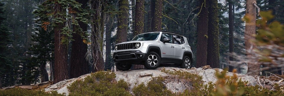 Jeep Renegade Trailhawk SUV Harrisonburg, VA