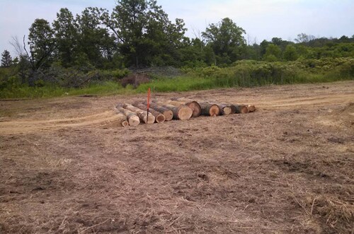 jt-logs2.jpg