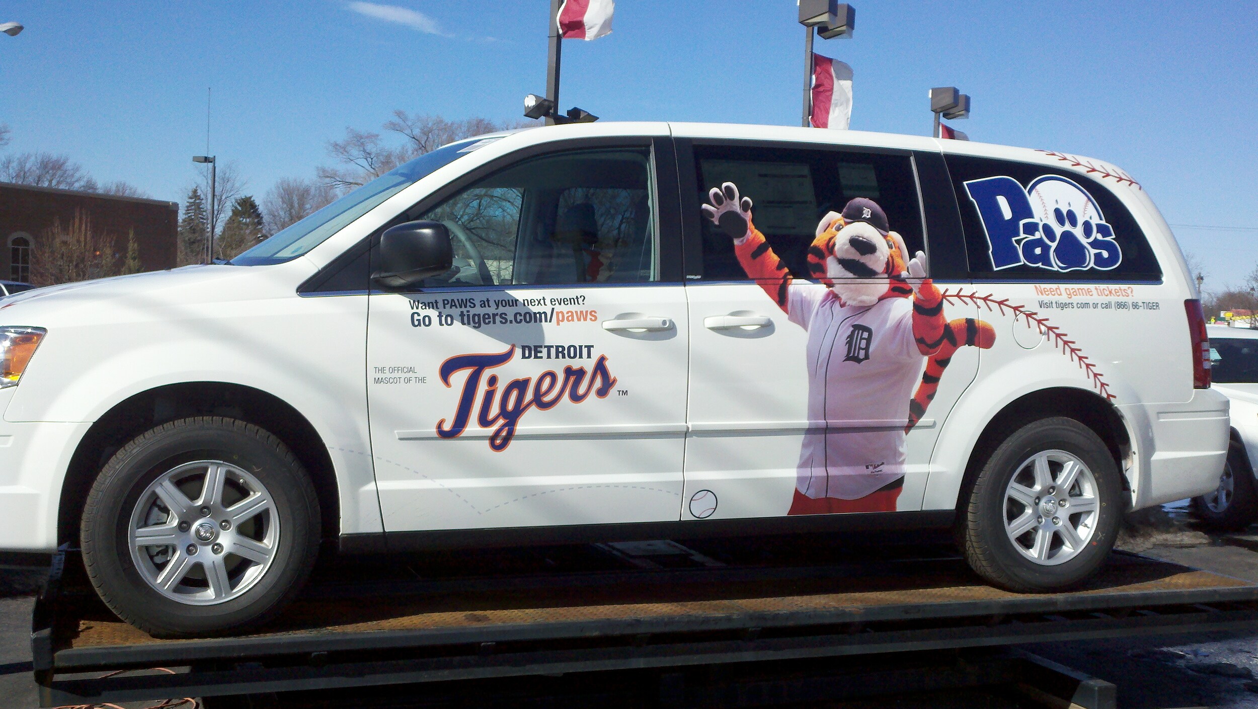 tigervan.jpg