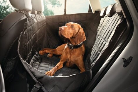 Save $197 On Audi Outdoor Activity Package