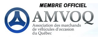amvoq copy.jpg