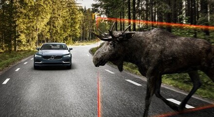 AN EXTRA EYE ON THE ROAD