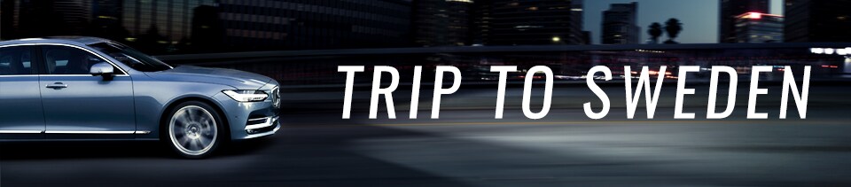 header.png