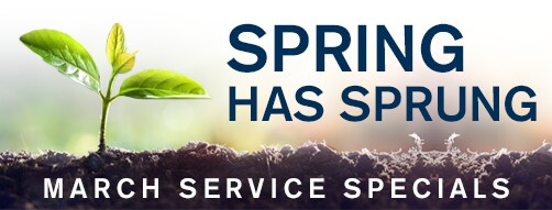 service-specials_header.png