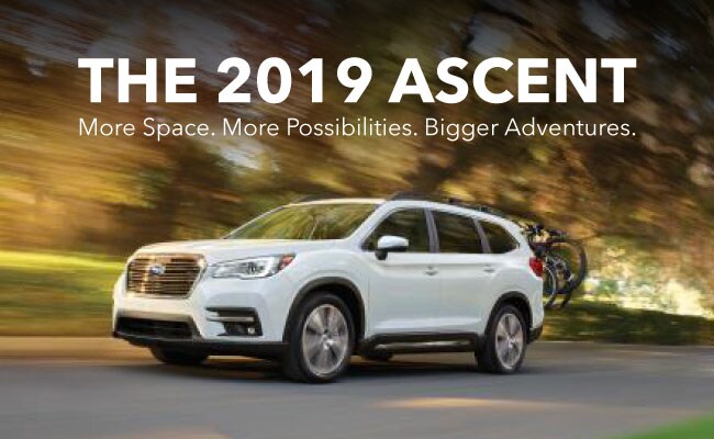 Web_Subaru_2019Ascent_0618_LP.jpg
