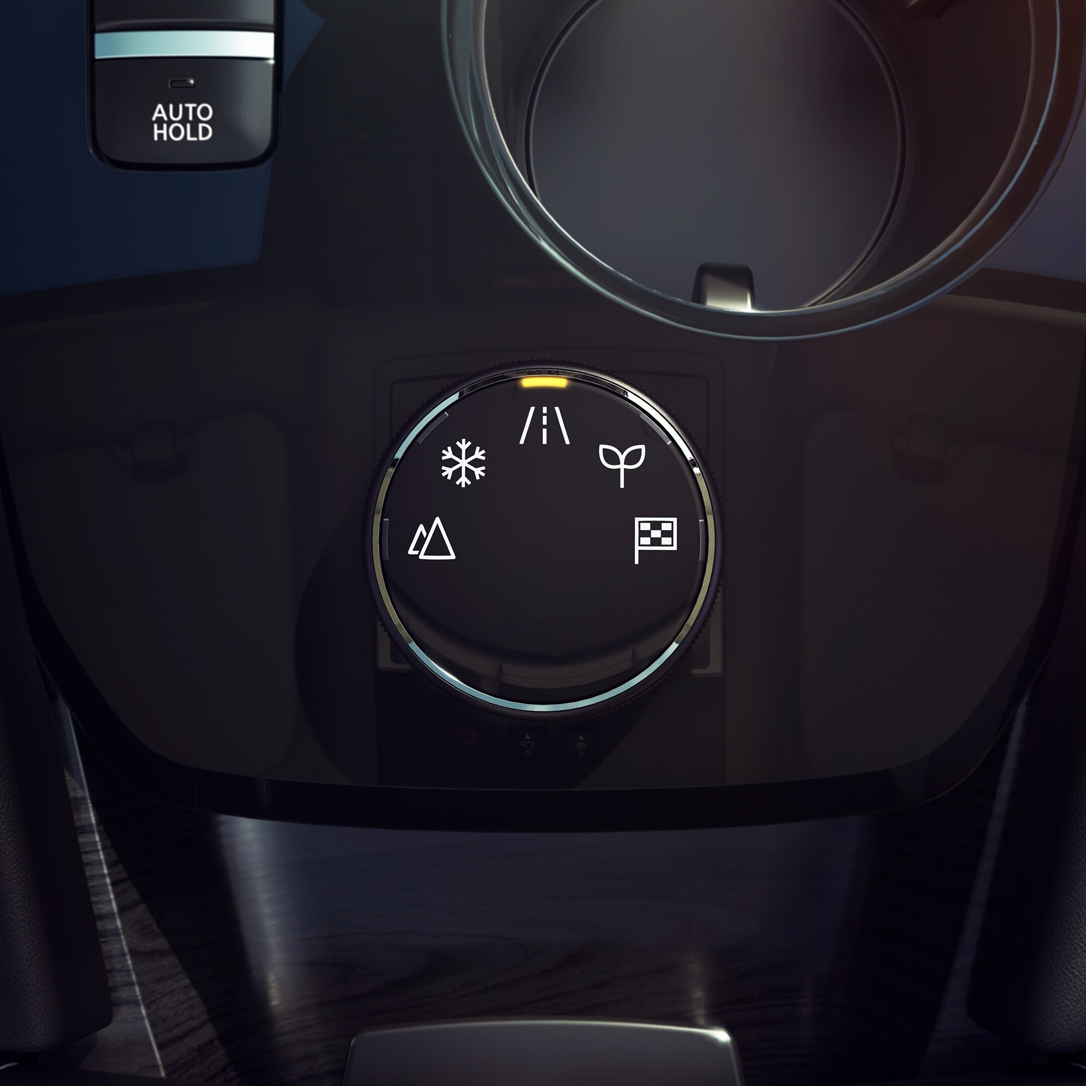 Image2Rogue_dial.jpg