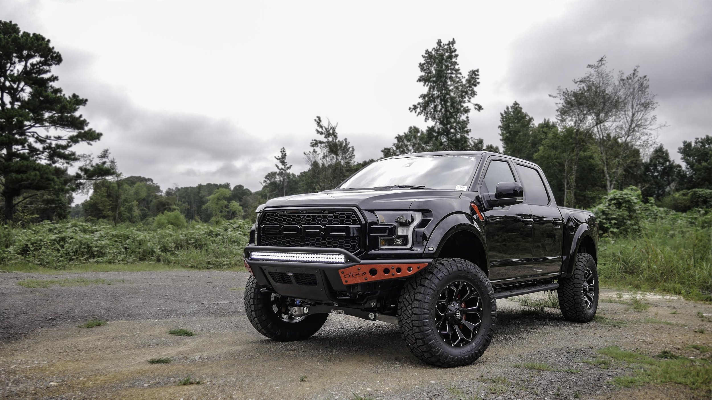 F-150 Black Widow Badge.jpg