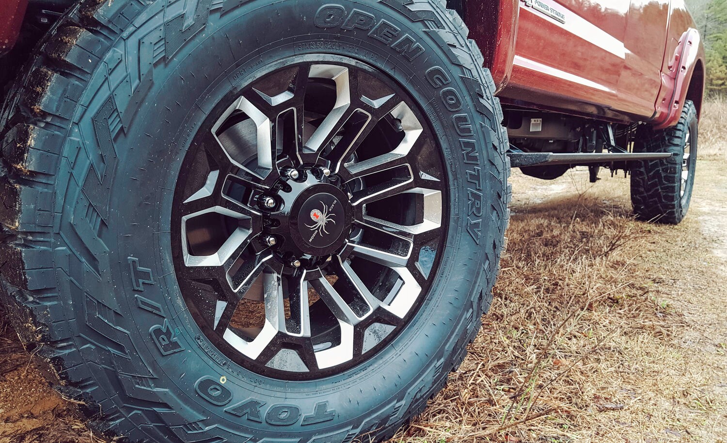 F-150 Black Widow Badge.jpg