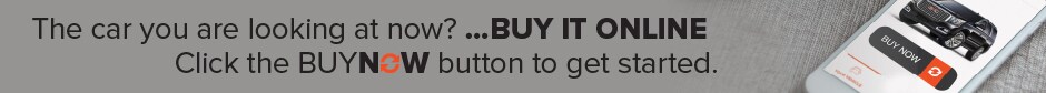 1 small banner.jpg