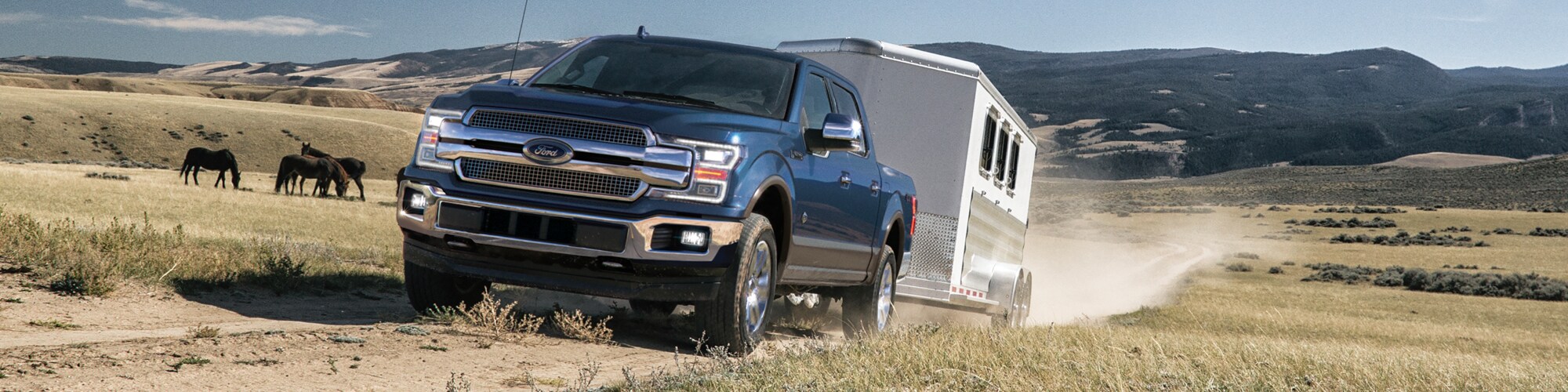 2020 Ford F-150 for sale