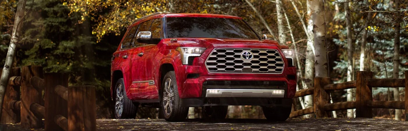 New 2023 Sequoia Don McGill Toyota