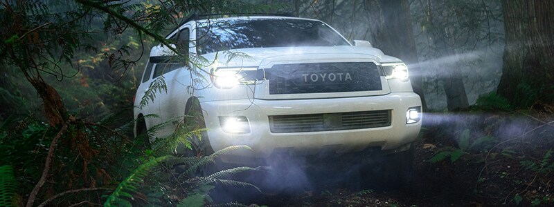 New TRD Models Houston Texas