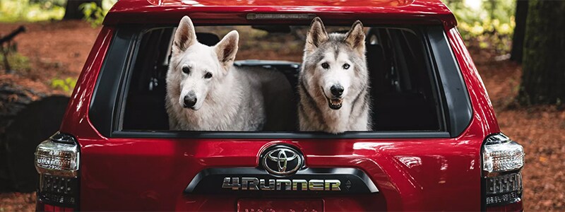 2022 Toyota 4Runner Marshall TX