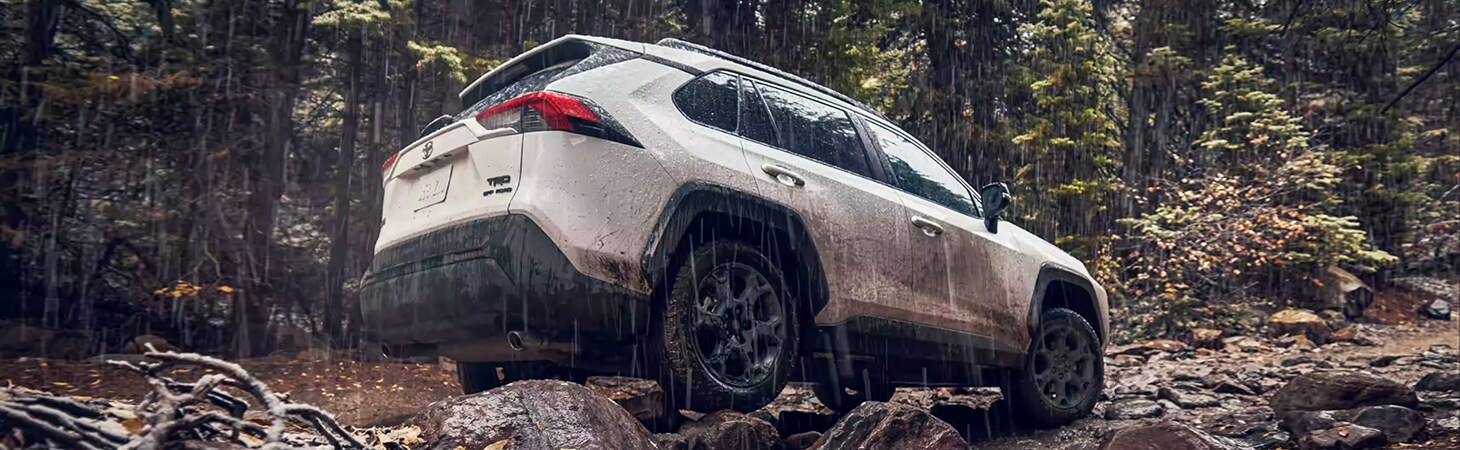 New 2023 RAV4 Don Mcgill Toyota