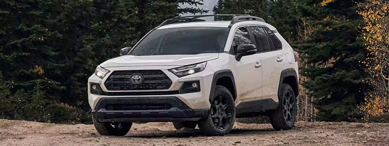 New 2023 Toyota RAV4 Katy TX
