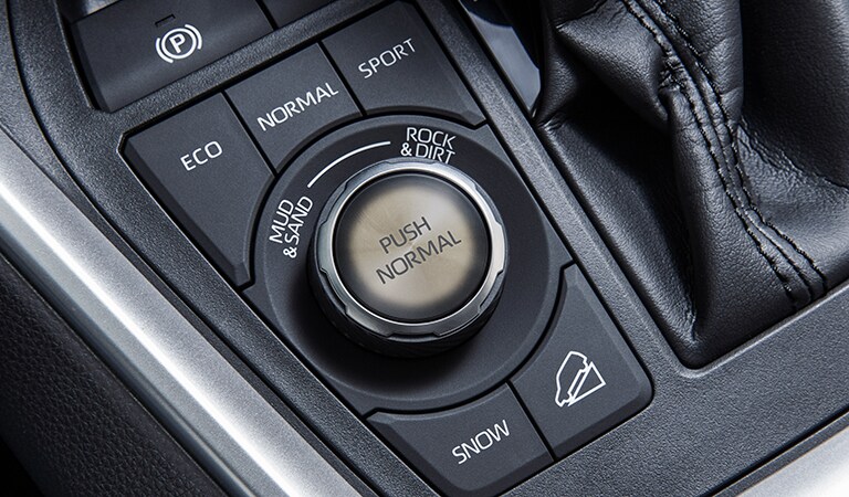2019 Toyota RAV4 Katy TX