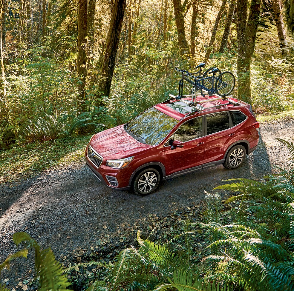 2019 Subaru Forester 2019 Subaru Forester Stability & Traction