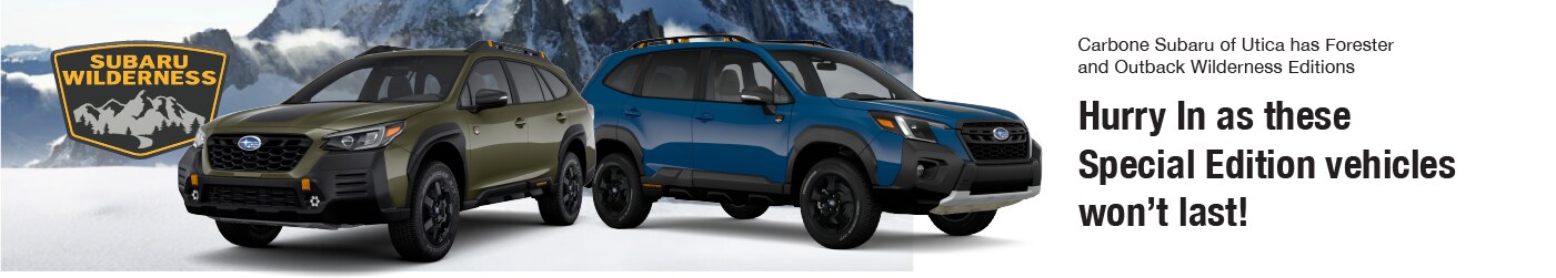 WF46981_NYUTISUB_WildernessAssets_NB.png