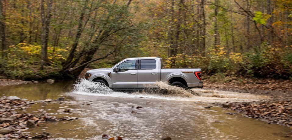 Ford F150 Truck.jpg
