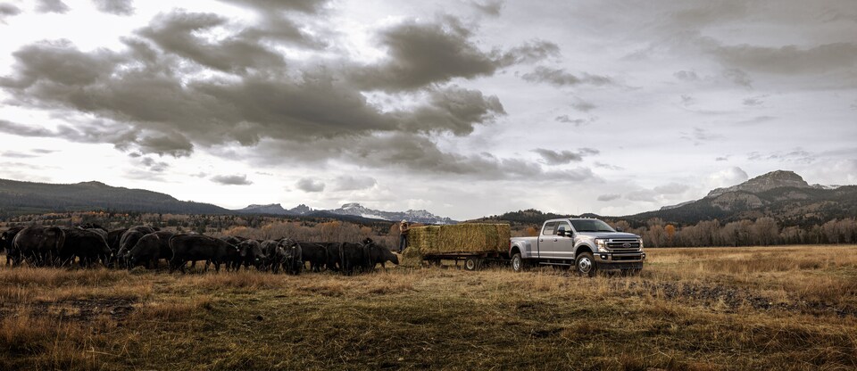 2021-Ford-F350-Lariat-SuperCrew-Truck-L01.jpeg