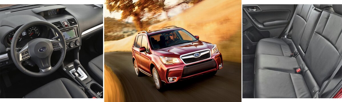 forestershowcase.jpg