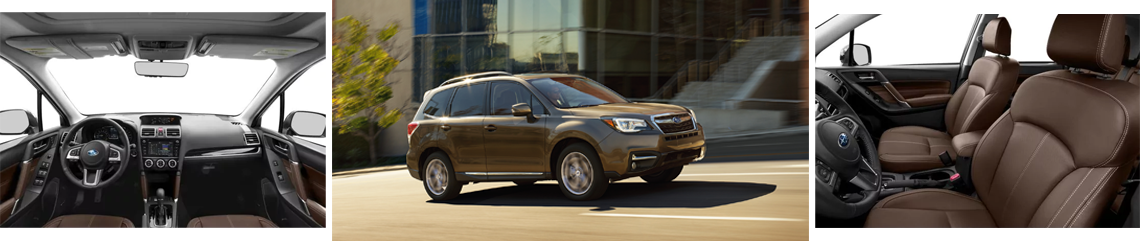 Forester Showcase.png